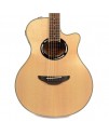Yamaha APX500 III